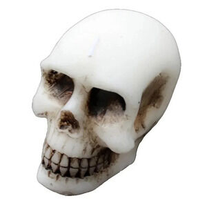 New White Skull Head Skeleton Gothic Halloween Candle Decorations Decor
